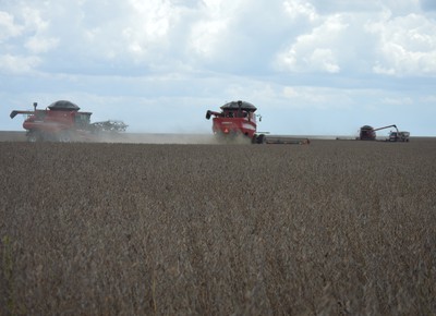 Colheita de soja atinge 99,94% da área plantada em MT, diz Imea