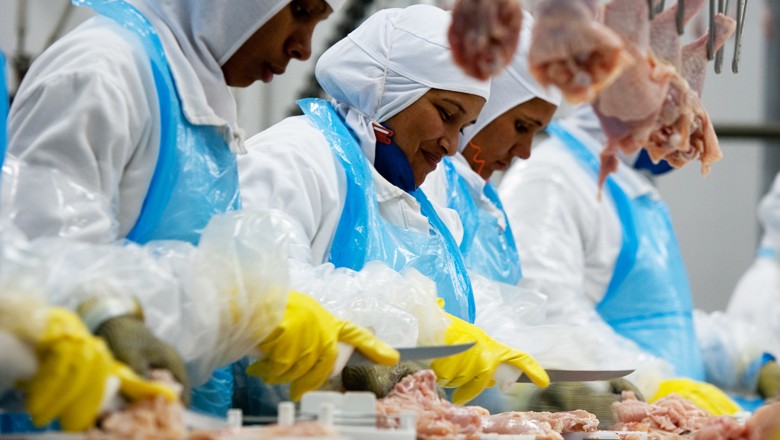 Embargo afeta um terço das exportações de frango do Brasil, diz Maggi
