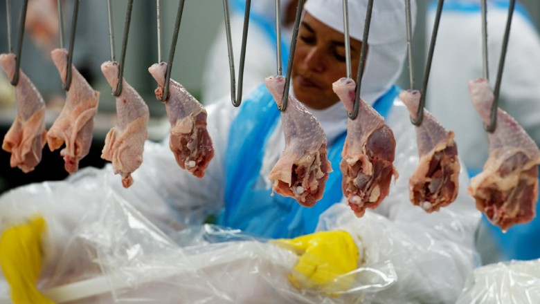 Tarifa da China traz incerteza para avicultura brasileira