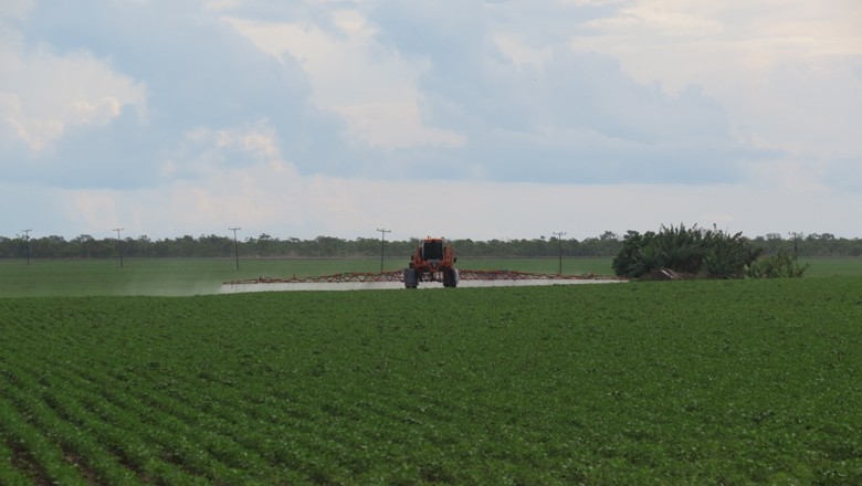 Nova lei dos agrotóxicos não incentiva uso dos produtos, diz deputada