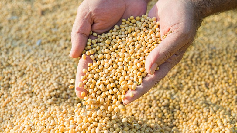 Salários no agro crescem acima da média brasileira