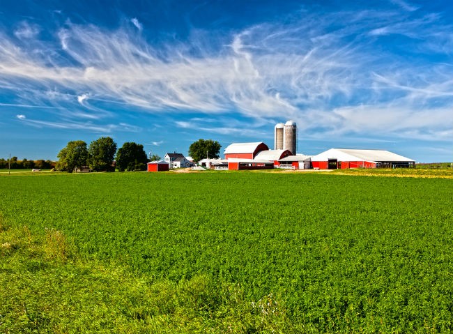 Farm Bill: Câmara dos EUA aprova projeto que retoma programas agrícolas