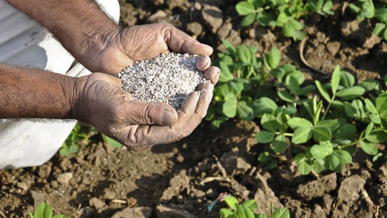 Fertilizantes: Nutrien vende participação na Arab Potash