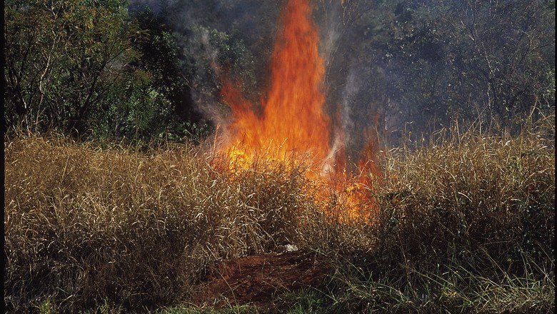 Tempo seco contribui para o aumento  de queimadas no interior do país