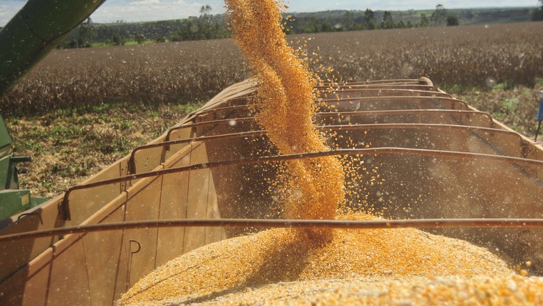 Consultoria eleva previsão para a safra de milho e soja do Brasil