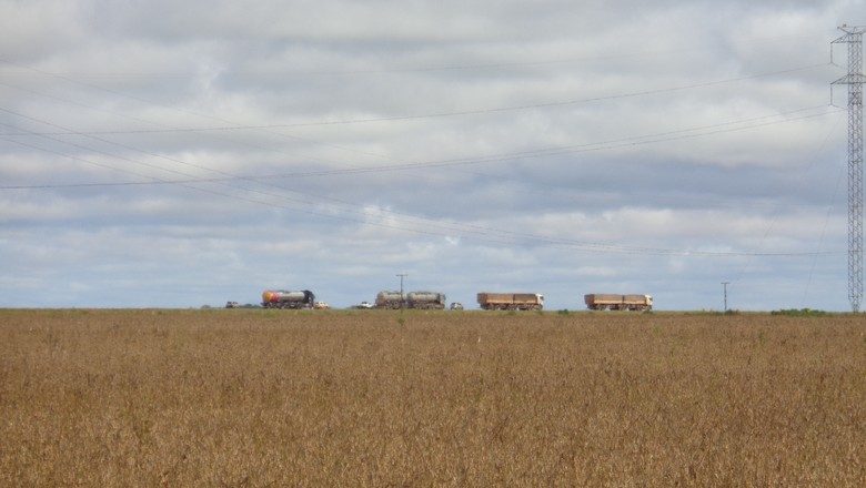 Sem transporte, comercialização da soja em Mato Grosso trava em 86%