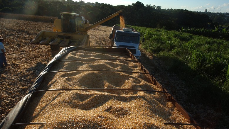 IGC reduz previsões de produção global de grãos em 2017/18 e 2018/19