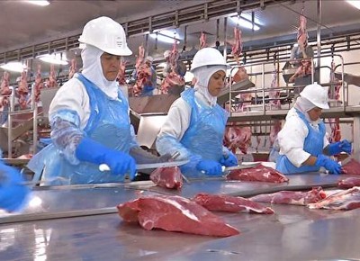 Exportação de carne bovina em junho cai 47% em volume, diz Abrafrigo