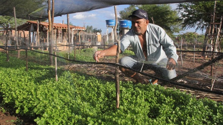 Com irrigação artesanal e de baixo custo, Semiárido tem novos produtores