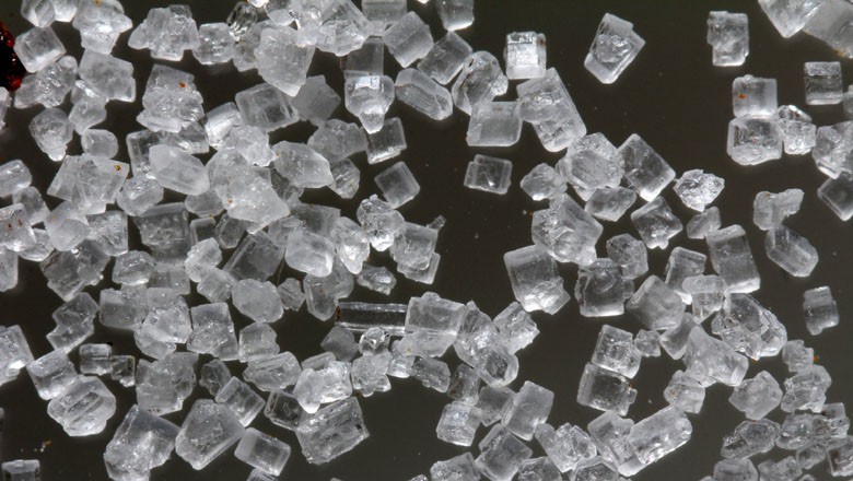 Preços de açúcar devem se recuperar no ano que vem, diz executivo da Tereos