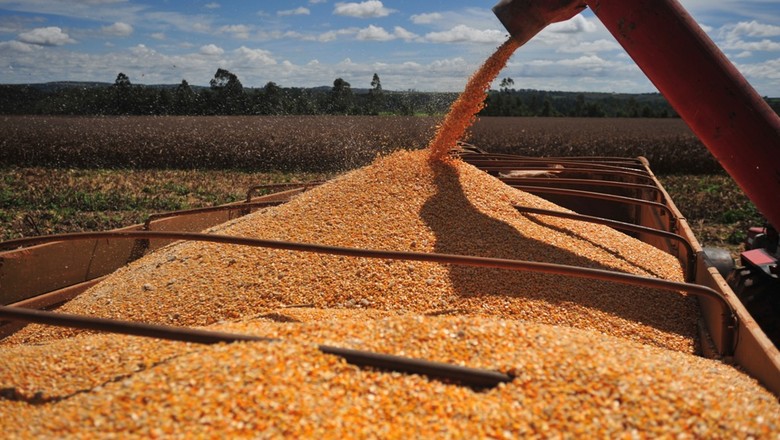 AgRural: colheita de milho atinge 63% da área no Centro-Sul