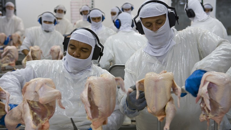 Crise do frango derruba projeção de faturamento de cooperativa no PR