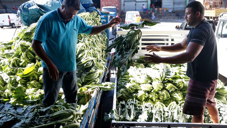 Preço de hortaliças e legumes tem queda generalizada