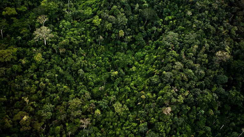 Logística é o maior desafio da exploração sustentável na Amazônia