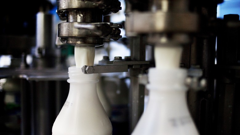 Oferta de lácteos terá crescimento modesto nos próximos 12 meses