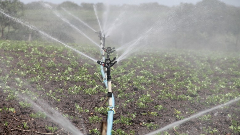 Estudantes criam projeto para irrigação de hortas em Santa Catarina