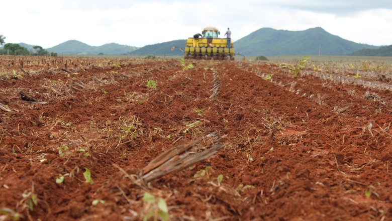 Plantio da soja no Brasil é o mais acelerado da história