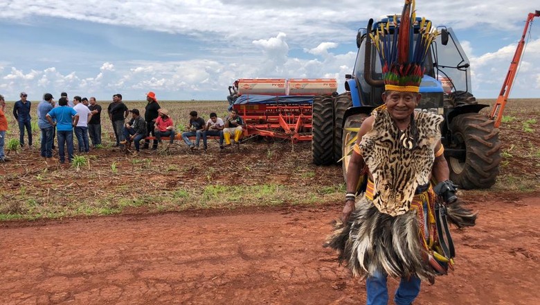 Paresis rejeitam tutela para plantio em Mato Grosso