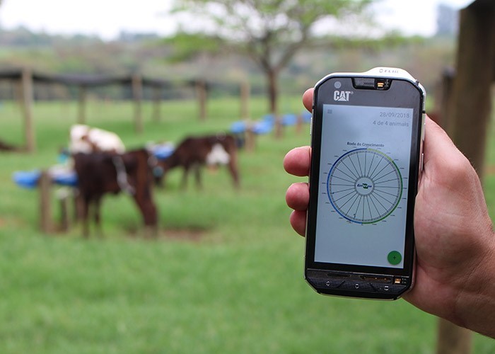 Digital Farming, a pecuária “perfeita” é tema de feira na Alemanha