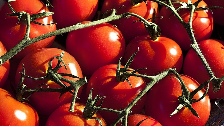 Alta de preço do tomate é destaque entre hortaliças em outubro
