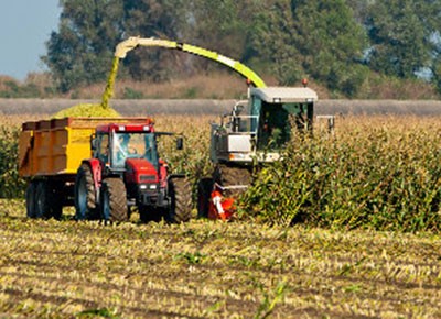 Colheita de milho nos EUA atinge 94% da área semeada