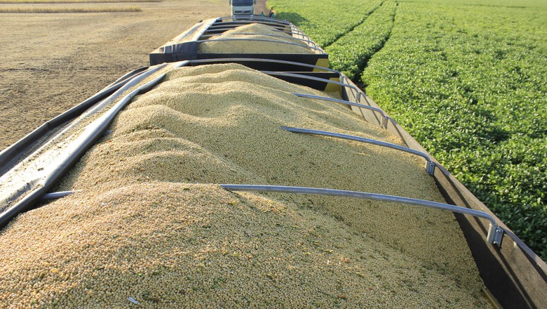 Exportação do complexo soja cresce 69,5% em volume, diz MDIC