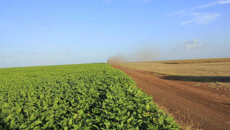 Plantio de soja atinge 76% no PR; colheita de trigo 2017/18 alcança 86%