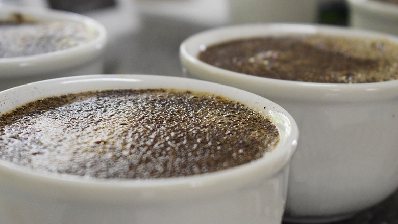 Novo recorde: café mais caro do Brasil vale US$ 315 o quilo