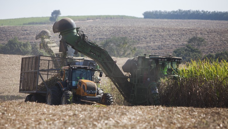 Senar Goiás abre inscrições para novo curso de cultivo e produção de cana-de-açúcar