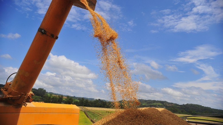 Cepea: indicador do arroz Esalq/Senar-RS recuou 6,7% em novembro
