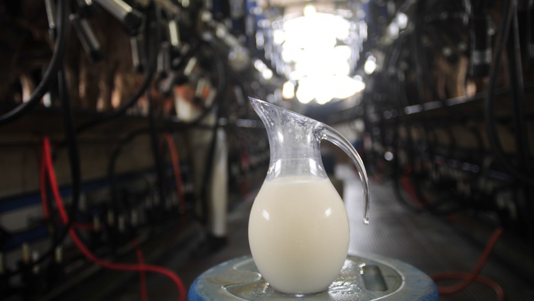 Índice de preços de lácteos avança 2,2% em leilão