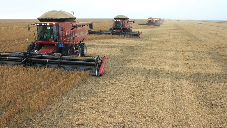 Valor Bruto da Produção Agropecuária em 2019 deve superar o deste ano