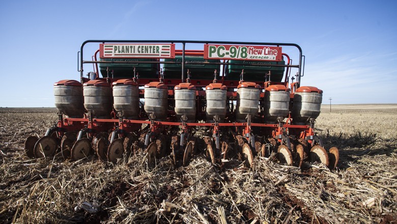 Plantio de soja atinge 96,1% da área na Argentina, diz bolsa
