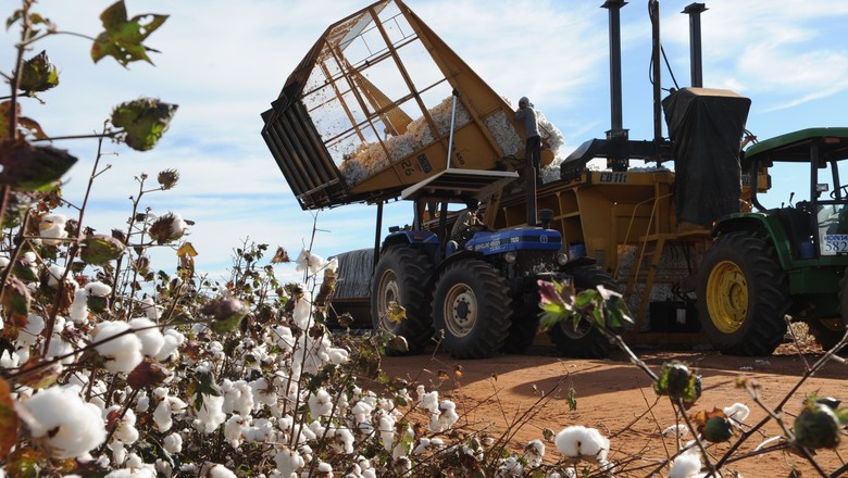 Safra 2017/2018 de algodão em MT já foi 90% comercializada, diz Imea