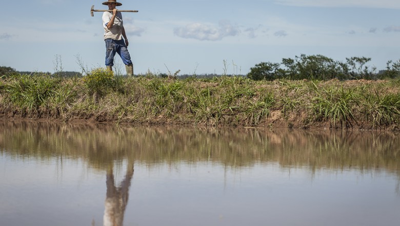 Produção de arroz do RS deve ser 11% menor em 2018/19