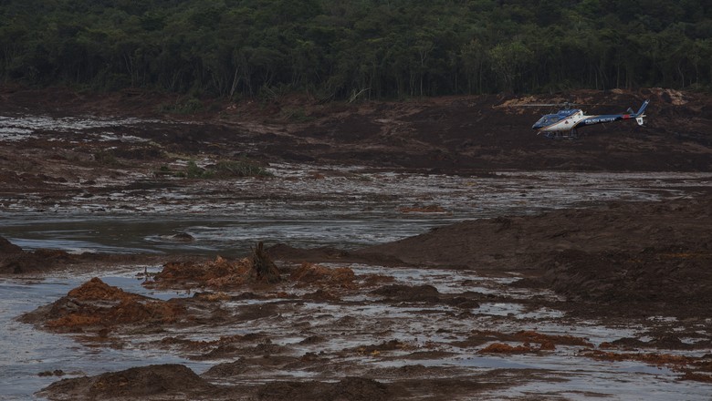 Somente animais que não podem ser resgatados são abatidos em Brumadinho