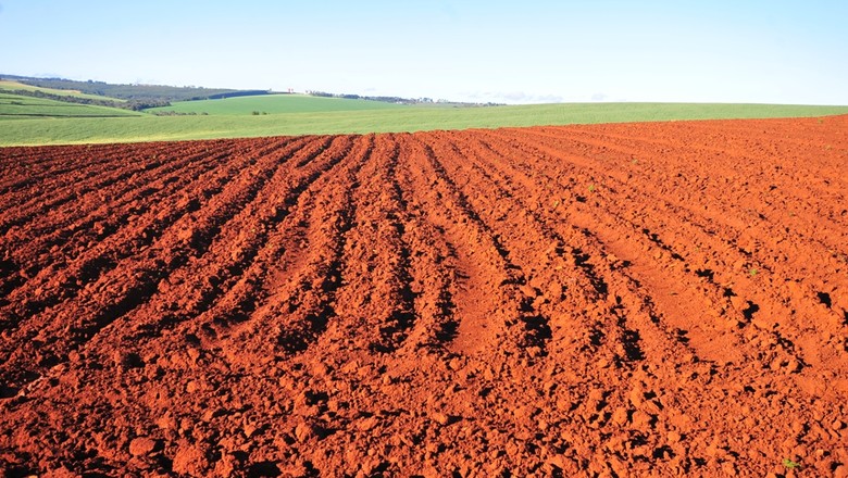 Governo suspende aquisições de terras para a reforma agrária, diz site