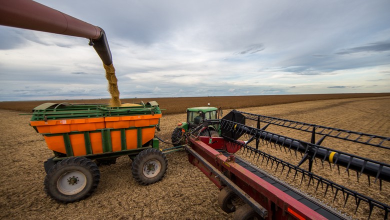 Custo de produção da soja em MT para 2019/2020 é revisado para baixo