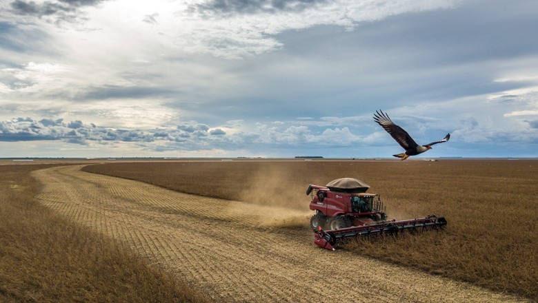 Colheita de soja nos EUA será menor em 2019/20 e estoques devem recuar
