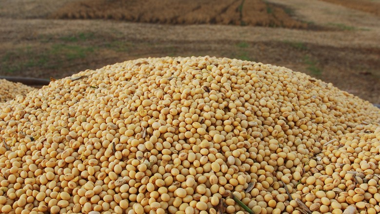 AgRural reduz em mais de 4 milhões de toneladas a safra de soja do Brasil