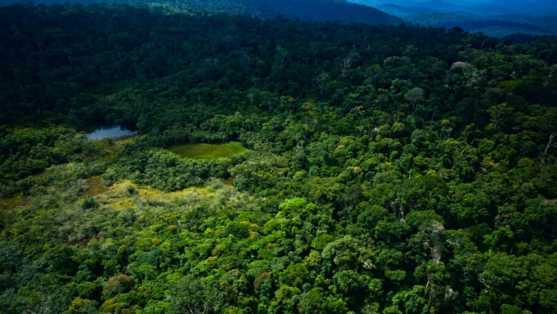 Senador propõe reduzir área de reserva legal em imóveis na Amazônia