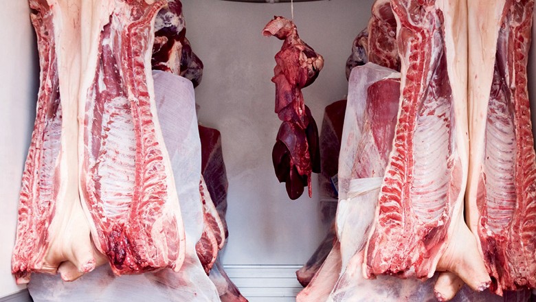 Agrifatto: média diária de exportação de carne de boi está 24,2% maior