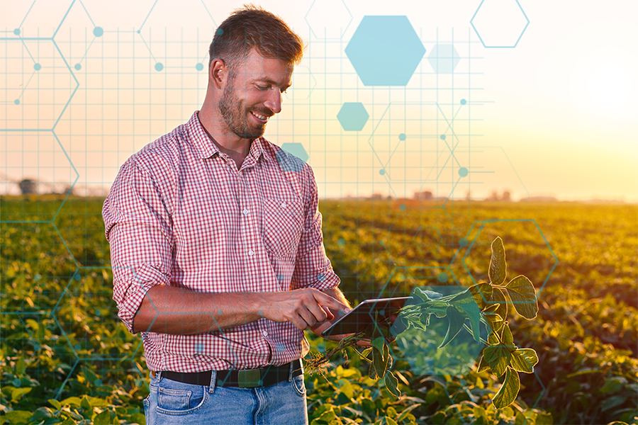 Transformação Digital: suportando a evolução da agricultura 4.0