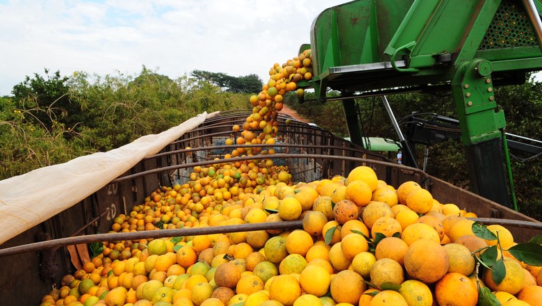 Indústria de suco de laranja do Brasil busca ampliar espaço na China