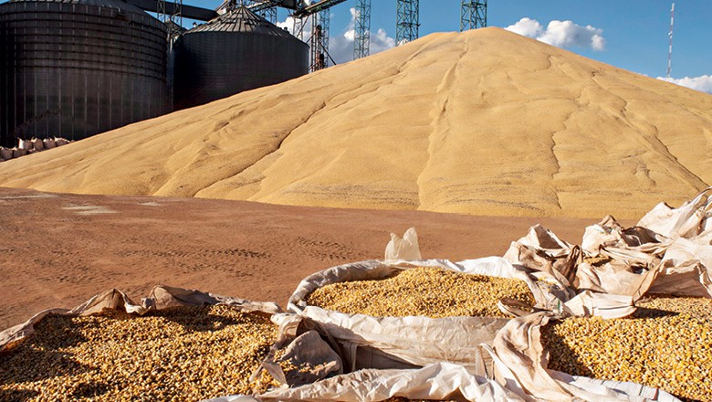 Exportações brasileiras de milho crescem quase 40% em janeiro