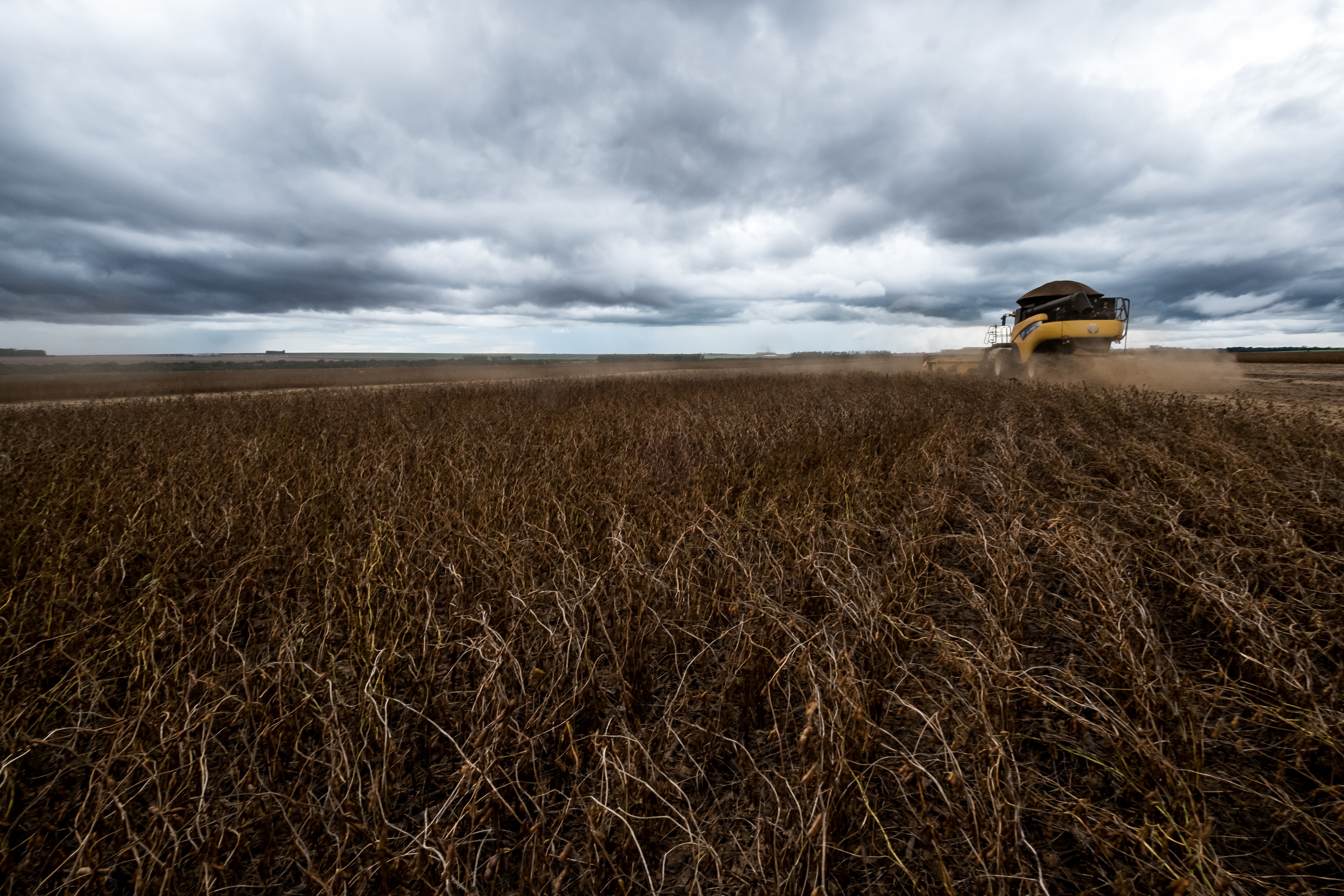 No PR, colheita de soja 2018/19 alcança 25%; plantio 2ª safra de milho atinge 38%