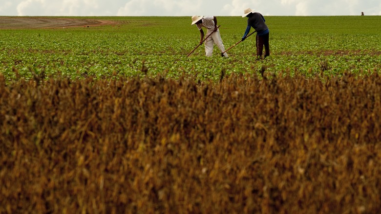 Contratação de crédito rural até fevereiro soma R$ 101,6 bilhões