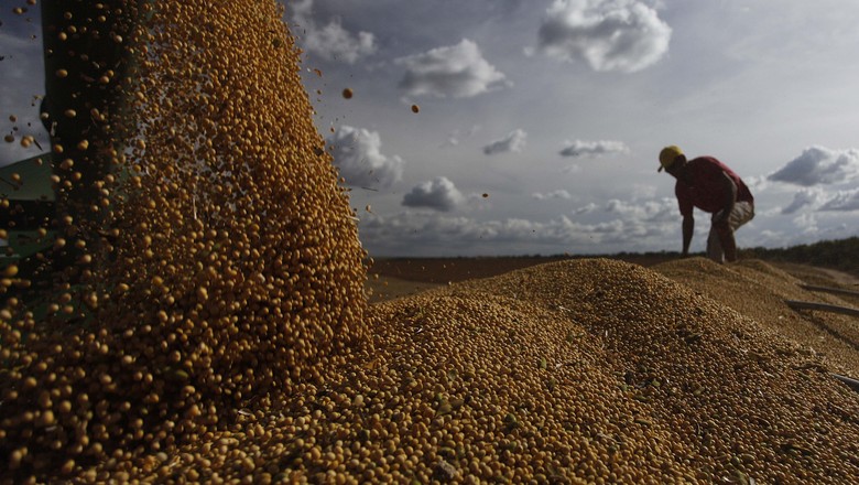 Datagro projeta colheita de soja na América do Sul em 182,117 milhões de t