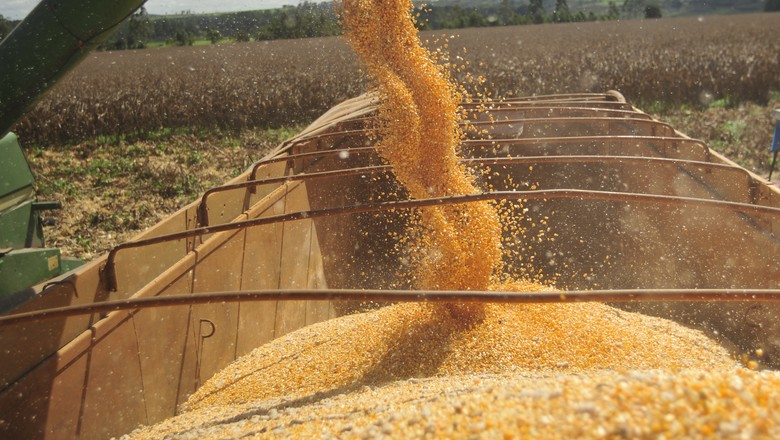 Embarques de milho em fevereiro crescem 39,6% em fevereiro