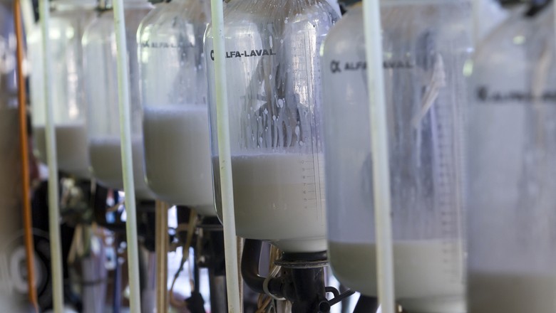 Mais de 2,7 mil propriedades de leite encerraram operações nos EUA em 2018